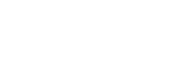 La web de Andino