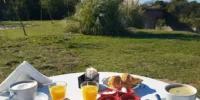 cacatúa desayuno cacatúa desayuno