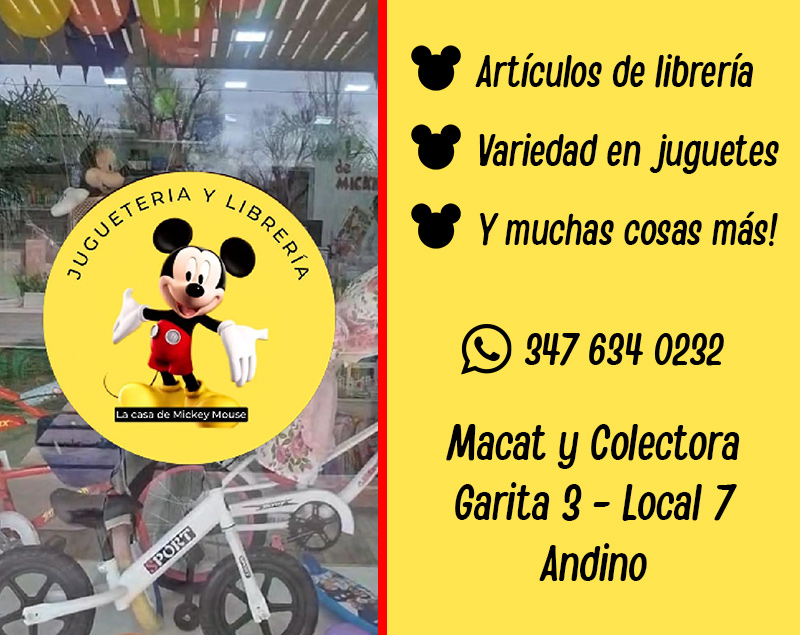 banner-web-mickey